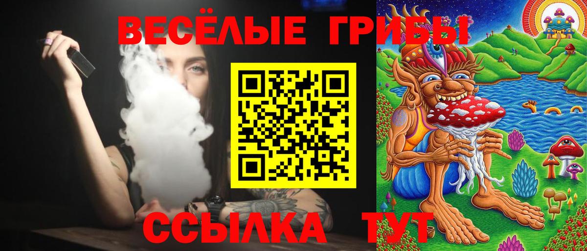 Псилоцибиновые грибы мухоморы  Псилоцибиновые грибы Cubensis  Шахты  Вход с VPN 