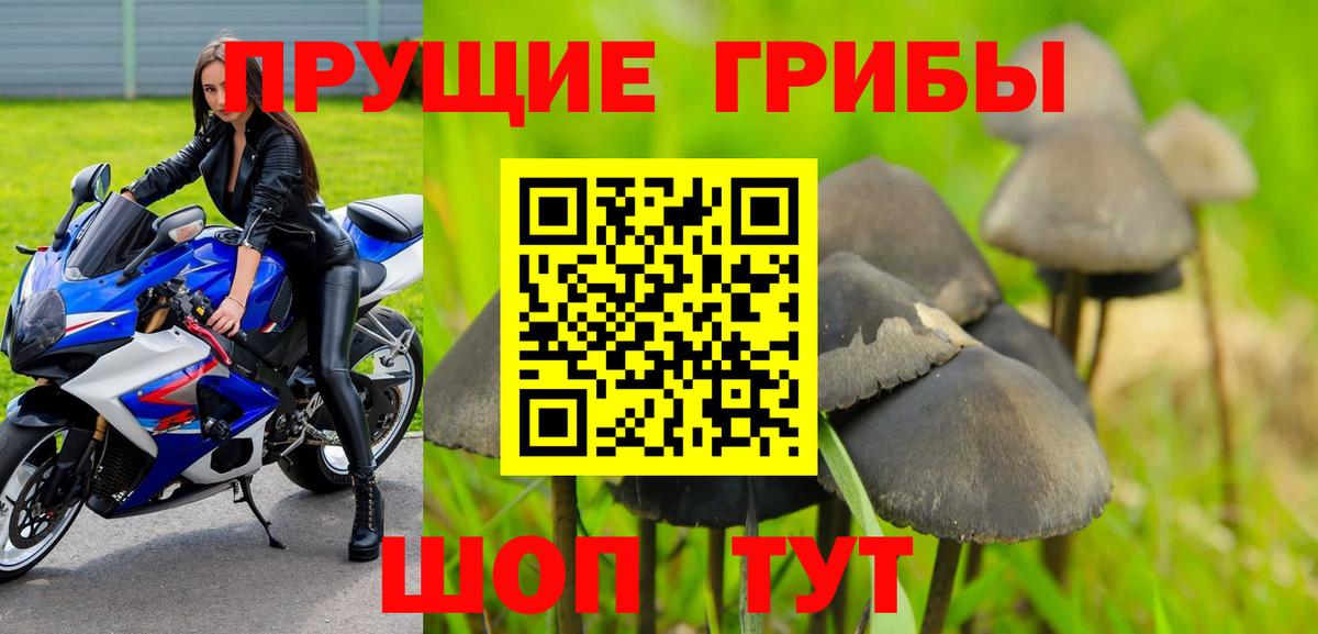 Галлюциногенные грибы мицелий Шахты